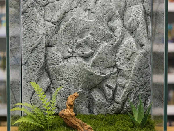 https://makerworld.bblmw.com/makerworld/model/USd8924b15fbbe6e/design/2025-08-16_4c162cdf7aa2a8.png