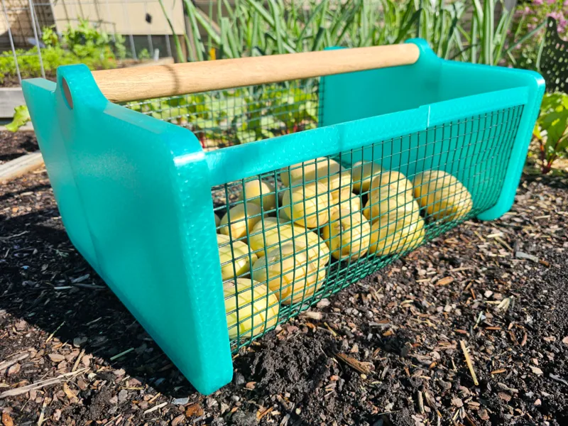 Garden Harvest Basket