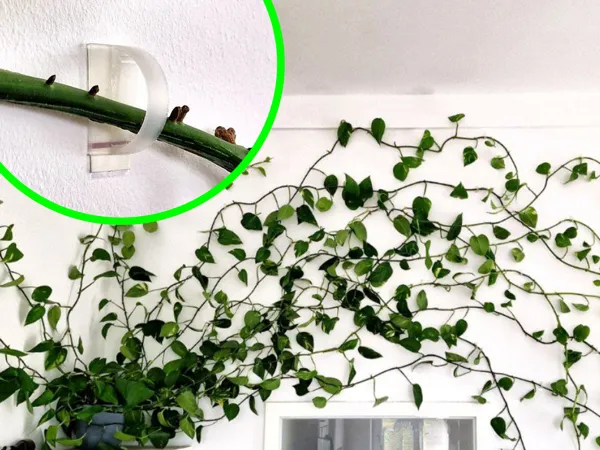 https://makerworld.bblmw.com/makerworld/model/USd897037cf3a54c/design/2024-08-21_b0c60ad5f5f5f.png