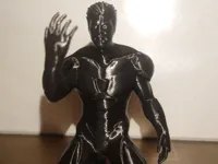 0.12mm layer, 2 walls, 5% infill