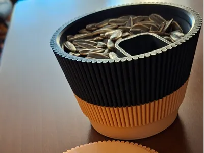 3-Piece Snack Bowl & Shell Catcher