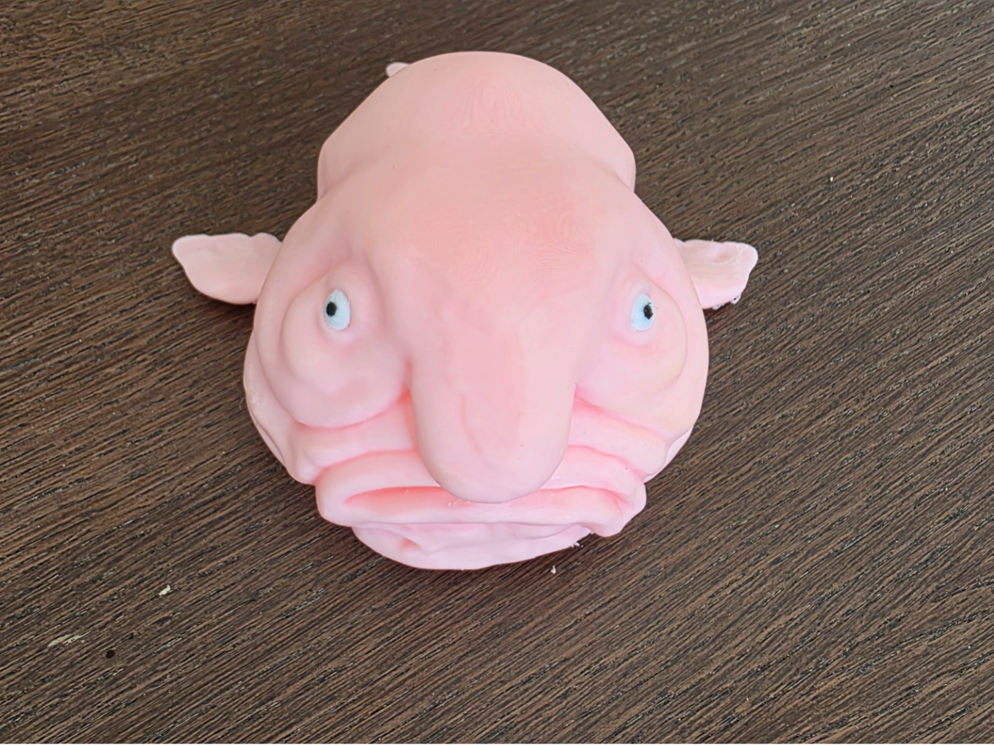Blob fish