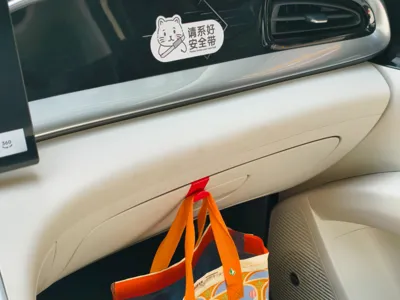 Geely Star Wish Hook, Front Passenger Glove Box Multi-functional Hook, Car Storage Organizer