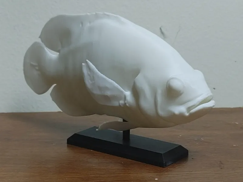 Oscar Fish Mount