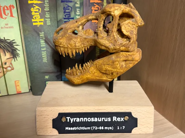 https://makerworld.bblmw.com/makerworld/model/USd8a48238f24aa8/design/6b4276dcf1268ccd.jpeg