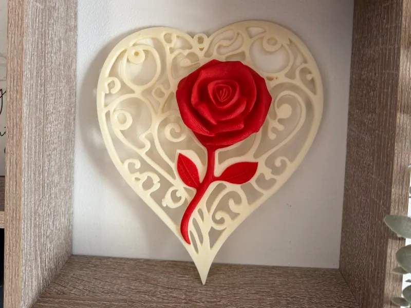 Valentines Rose