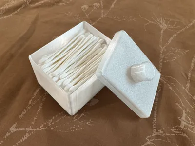Q-Tip holder