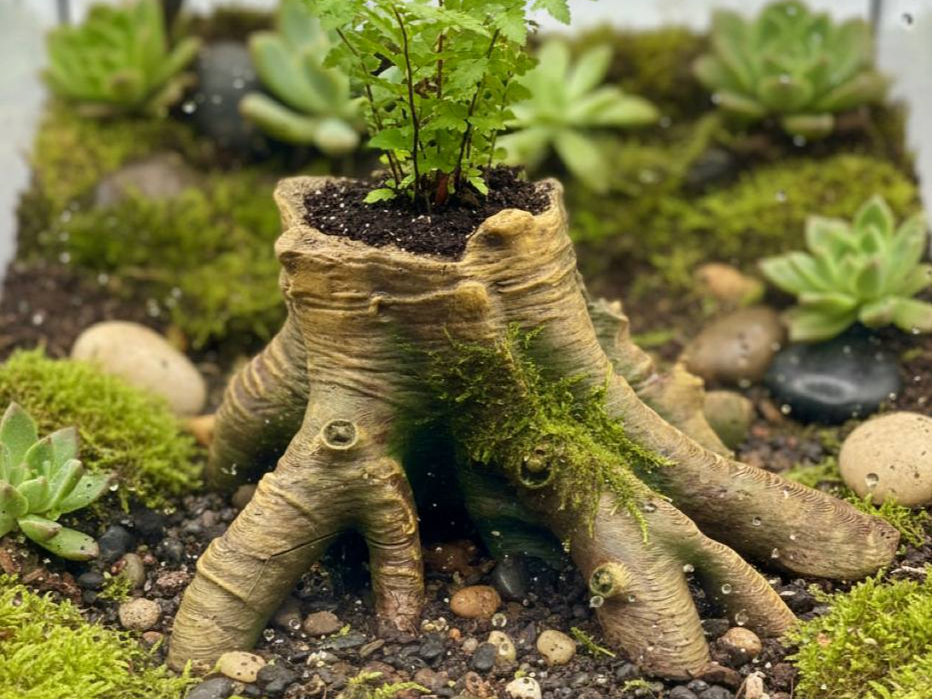 Natürlicher Wurzel Planter