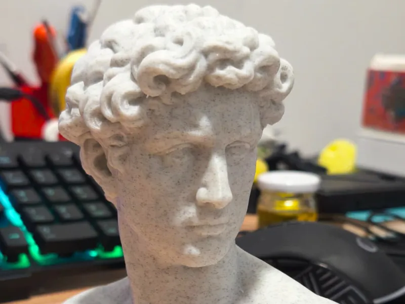 Minimal Classical Bust Detailed Print