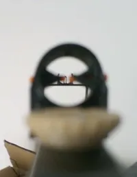 Castom sights