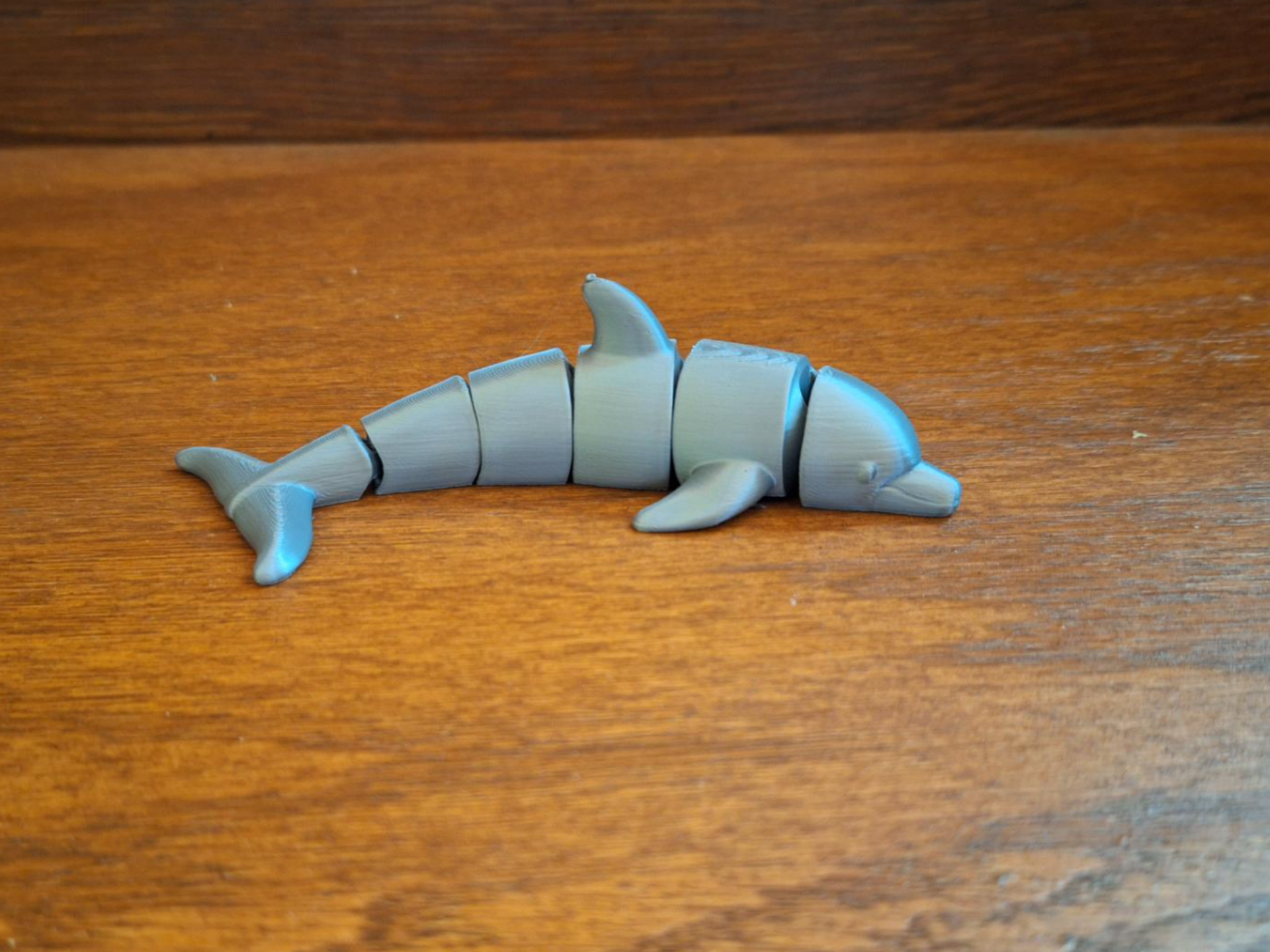 Cute Flexi Dolphin - 1