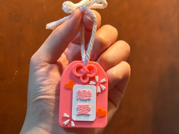 https://makerworld.bblmw.com/makerworld/model/USd8b257f0052aa1/design/2025-02-02_69dcfc573fdab.jpg