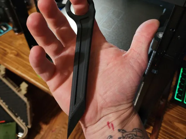 https://makerworld.bblmw.com/makerworld/model/USd8b34aea2174fa/design/2025-01-22_e80787d7428ef.jpg