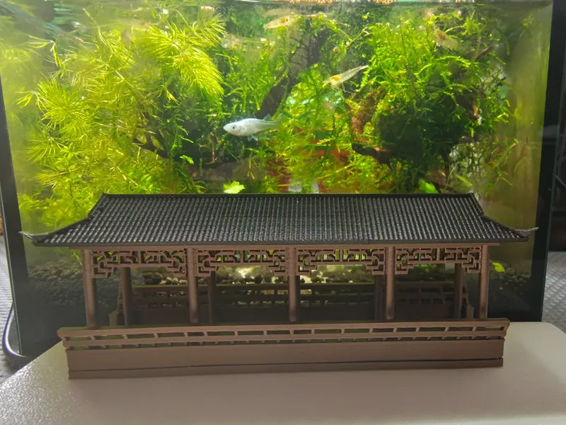 风雨走廊（国风）