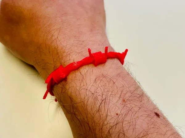 https://makerworld.bblmw.com/makerworld/model/USd8b517e9d13187/design/f54524a9145b1f35.jpeg