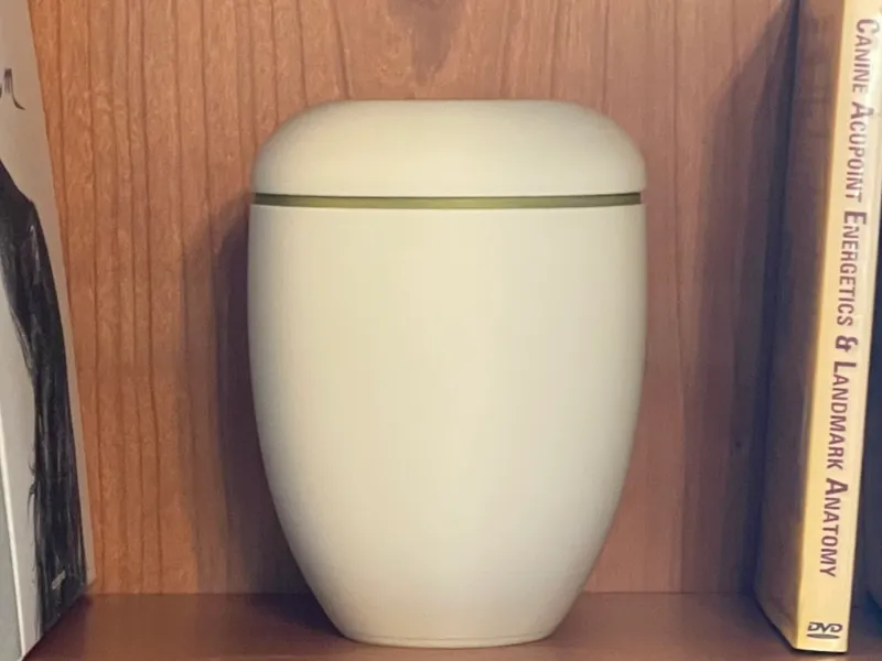 Urn with lid