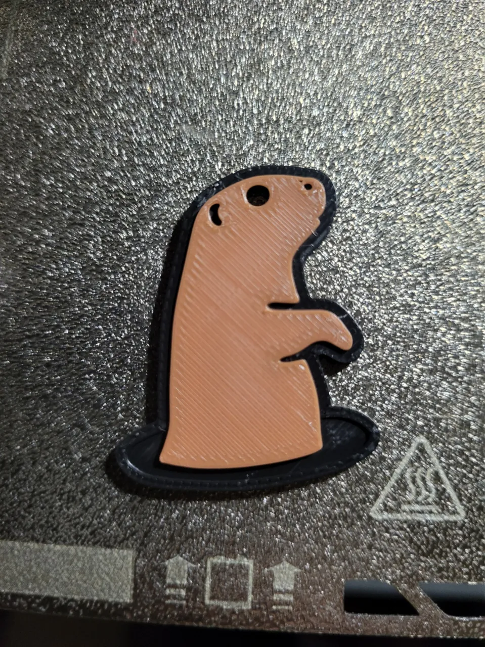 Groundhog peeping hole earring view 3
