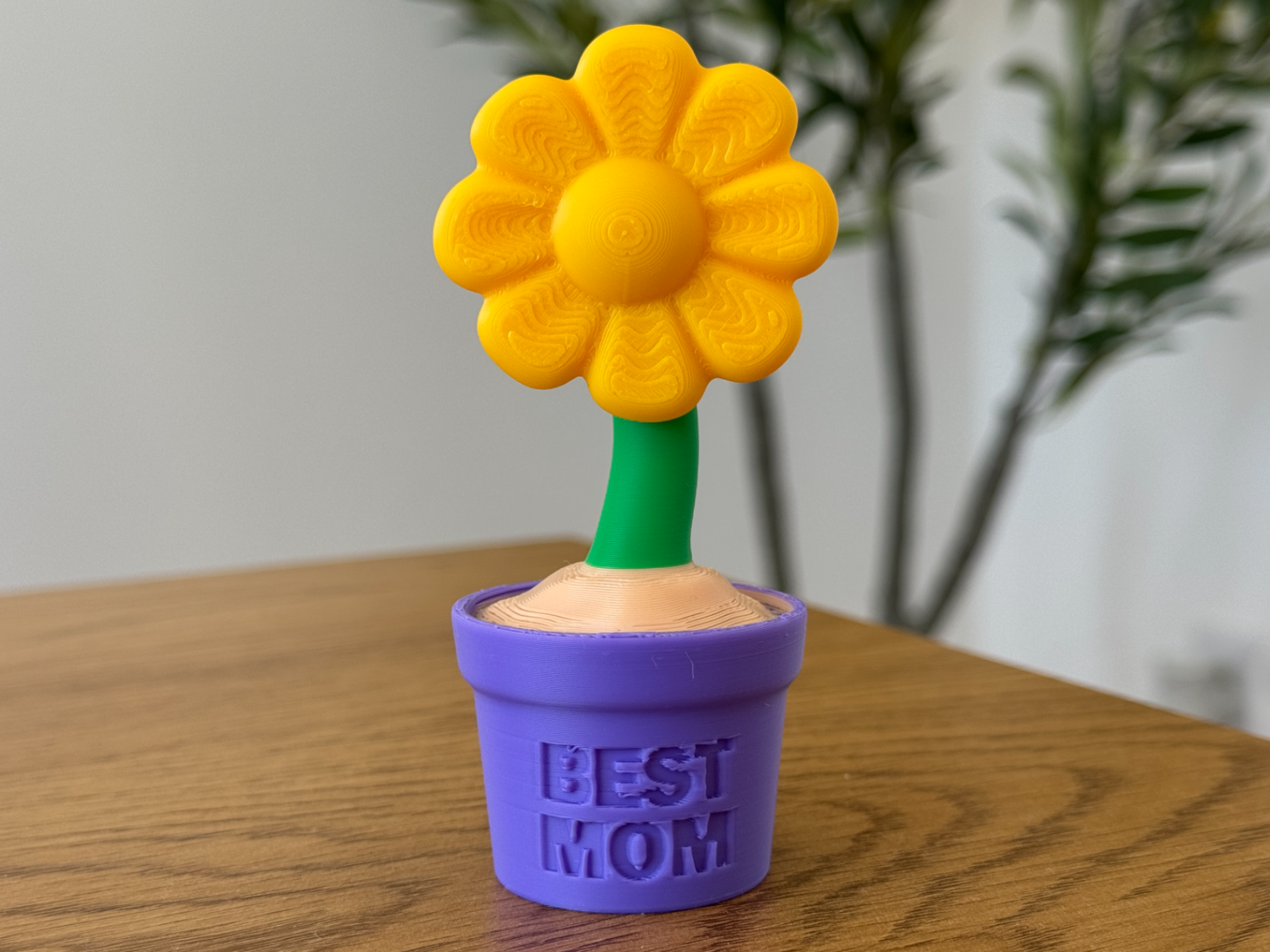 Best Mom Flower Pot - Mothers Day 2026 – NOAMS
