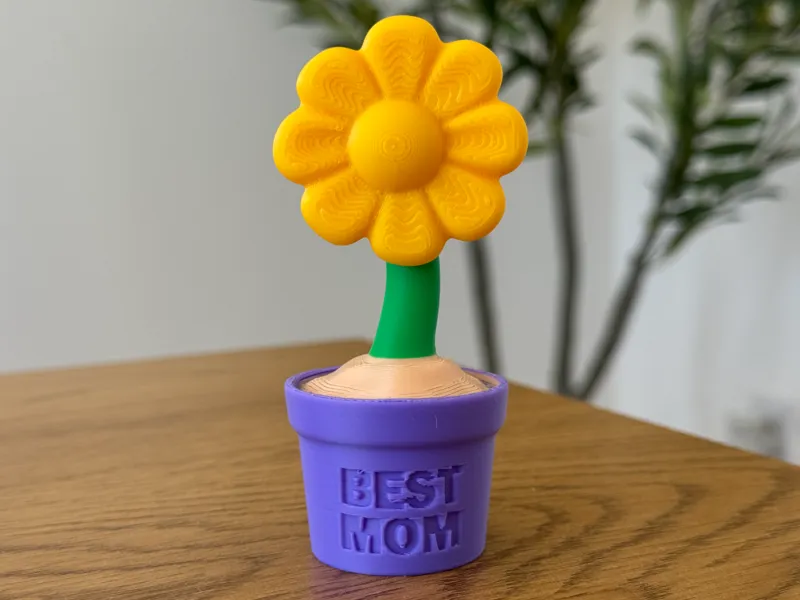 Best Mom Flower Pot - Mothers Day 2026 – NOAMS