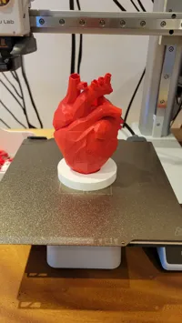 Support pour cœur low poly — photo 3