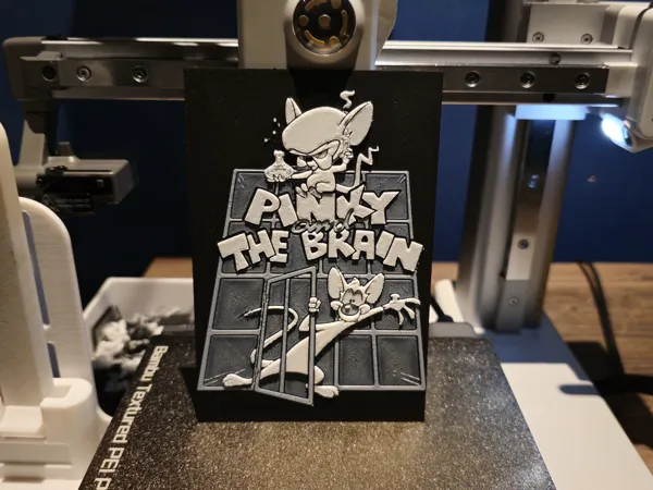 https://makerworld.bblmw.com/makerworld/model/USd8bae5bd371a61/design/2024-07-04_d975c228ccdcb.jpg