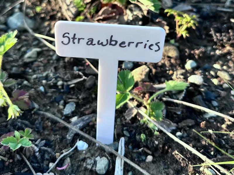 Sharpie markable garden tags