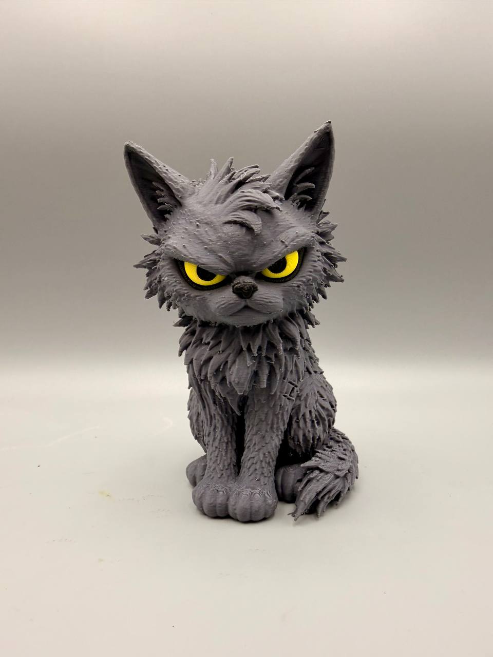 Angry Cat - 1
