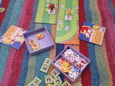 Sonic Crash Course Organizer