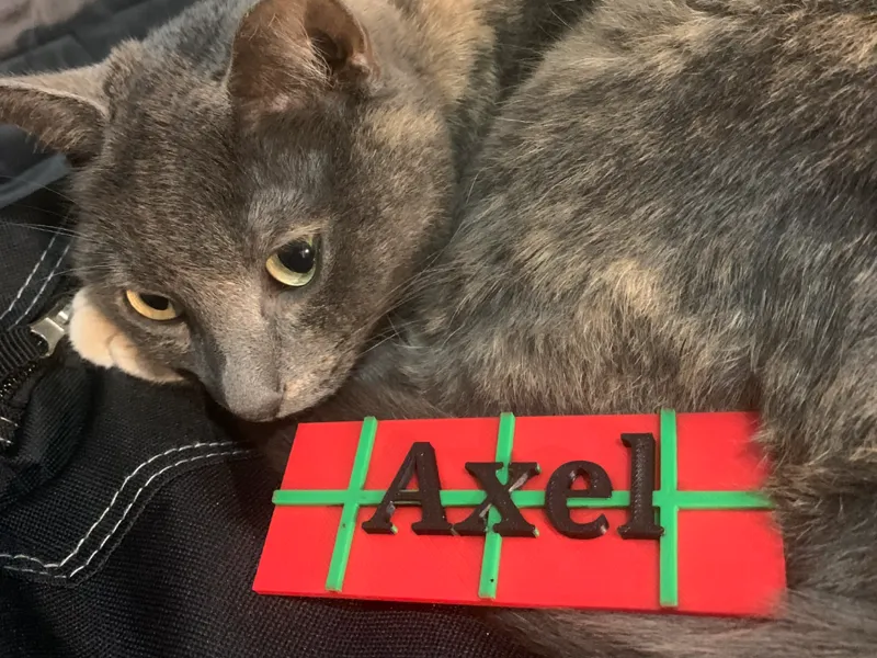 étiquette de noël