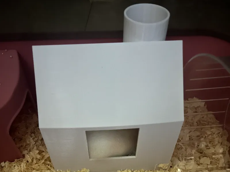 仓鼠尿砂盆