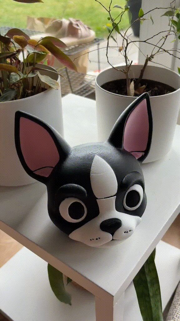 Boston Terrier - Treats Box (no AMS needed)