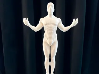 The Man - Balance