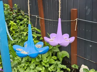 Futterblüte für Vögel
