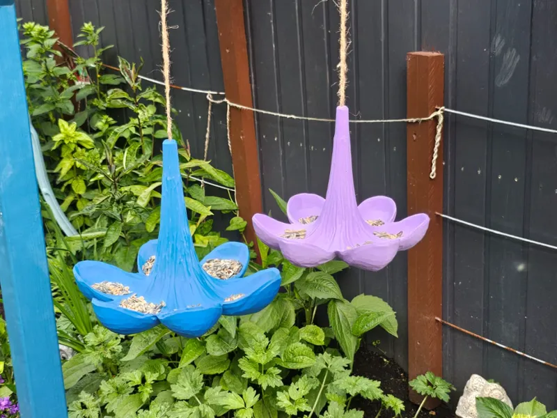 Futterblüte für Vögel