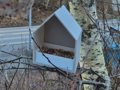 Modern Hanging Bird Feeder With Removable Tray