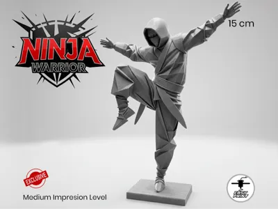 Ninja Warrior