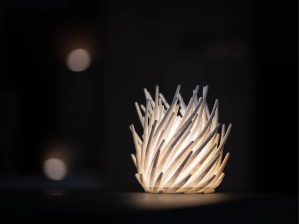 https://makerworld.bblmw.com/makerworld/model/USd8da297f5d91e2/design/2025-10-09_f7ee3c3c397f68.jpg