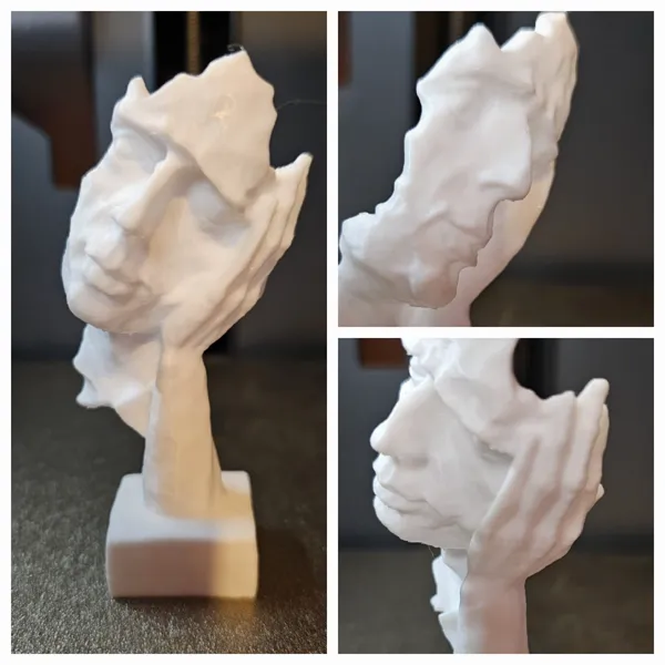 https://makerworld.bblmw.com/makerworld/model/USd8dce89fdbc7c7/design/2024-08-30_a9a6285ce0cfb.jpg