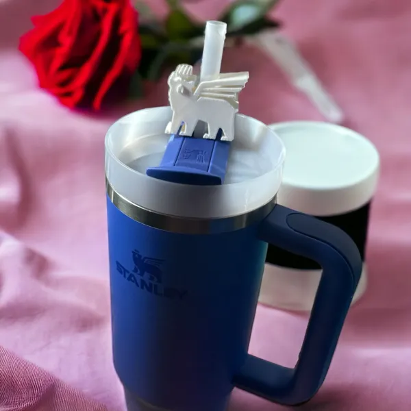 https://makerworld.bblmw.com/makerworld/model/USd8dd5549507bc0/design/2024-02-08_8d8ac32ec6b63.jpg