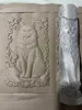 0.16mm layer, 2 walls, 10% infill