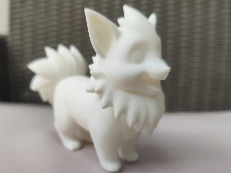 Border collie blanc