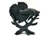 Midnight Betta