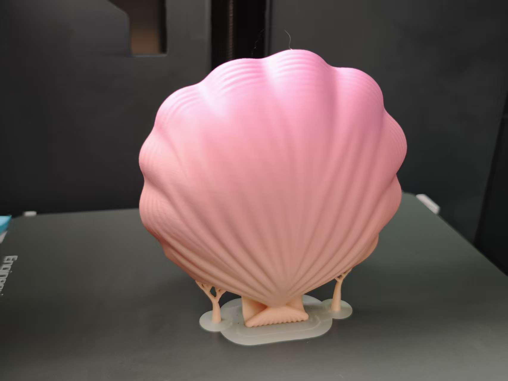 Miniatura 1 do modelo 3D 贝壳碗和盘