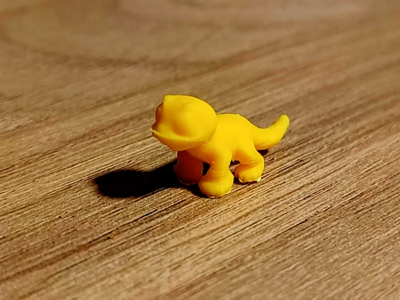 Gecko Salamander