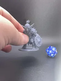 (Display Sized) 0.12mm layer, 2 walls, 20% infill