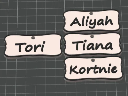 Customizable Name tag