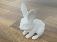 Petit lapin (moins de 50g) — photo 1