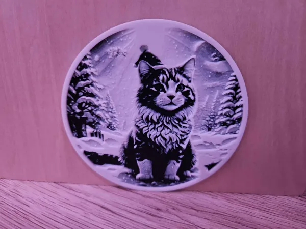 https://makerworld.bblmw.com/makerworld/model/USd907ca8318931a/design/2024-11-18_46a8e901a42b6.jpg