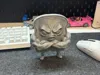 0.16mm layer, 2 walls, 15% infill