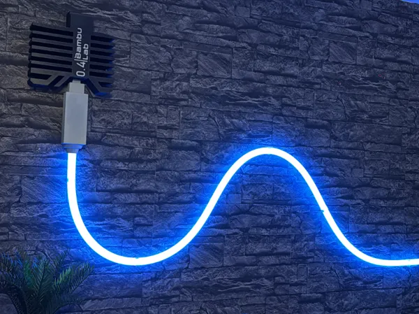 https://makerworld.bblmw.com/makerworld/model/USd91110c0ede103/design/2025-05-03_3a4c1aef624e88.jpeg